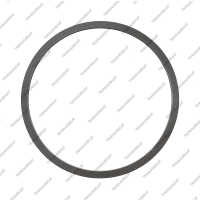 Пружинный диск B3